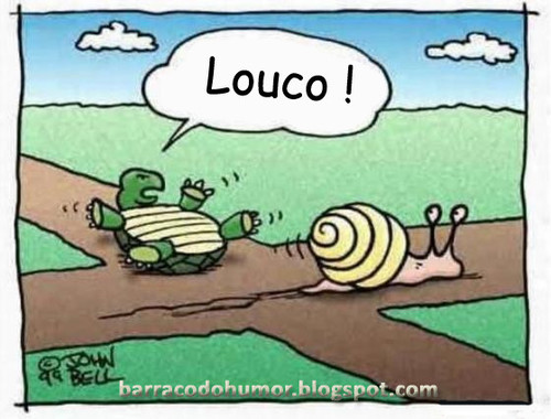 velocidade.jpg