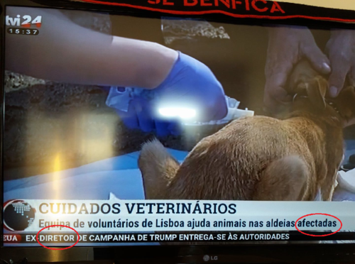 TVI.png TVI.png