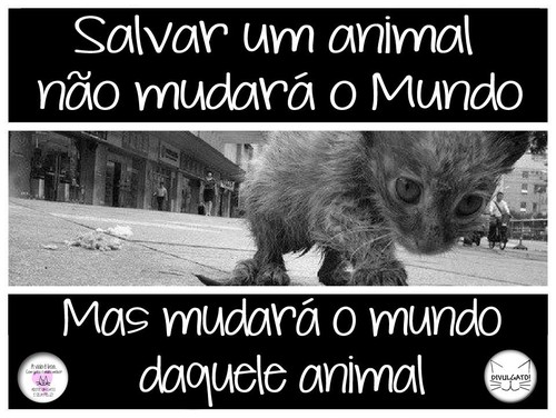 Salvar um animal