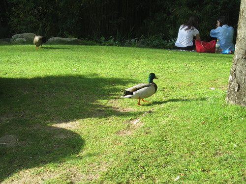 IMG_1772.JPG
