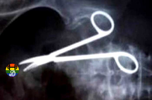 12-strangest-objects-x-rays3.jpg