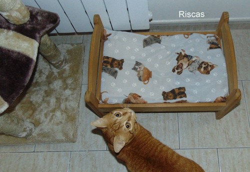 riscascat5.JPG