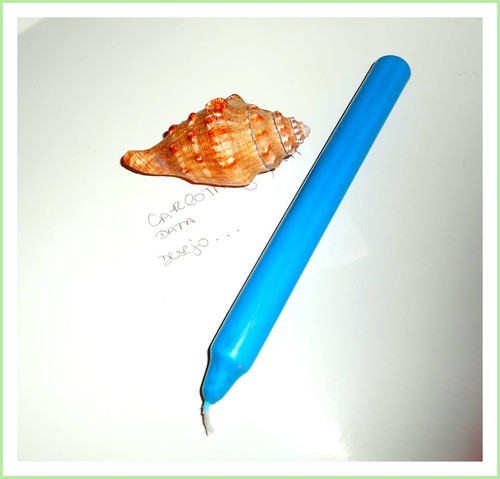 conchaYe.jpg conchaYe.jpg