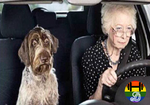 old-lady-driving.jpg