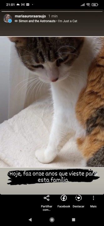 Screenshot_2021-09-15-21-01-32-786_com.instagram.a