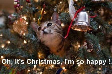 gato-natal-1.jpg