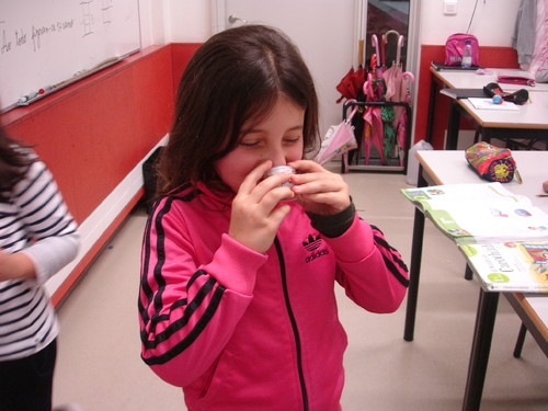 DSC00807.JPG