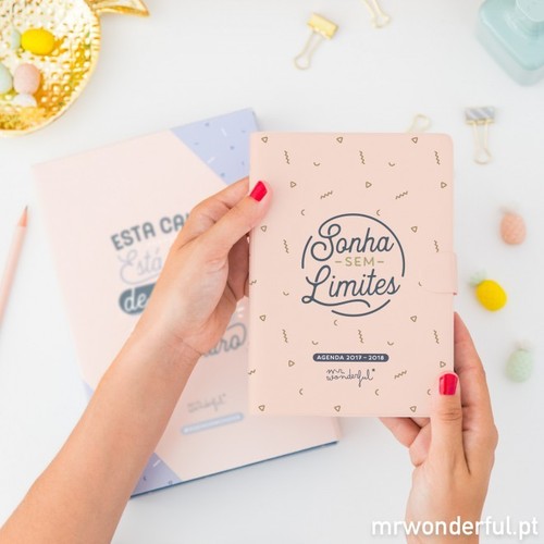 mrwonderful_8435460715355_agenda-pequena-2017_2018