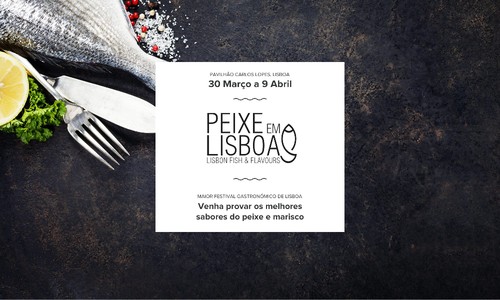 cropped-01home-website02.jpg