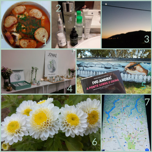 CollageMaker_20171029_105003871.jpg