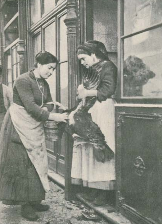 perus ilustracao portuguesa3.png