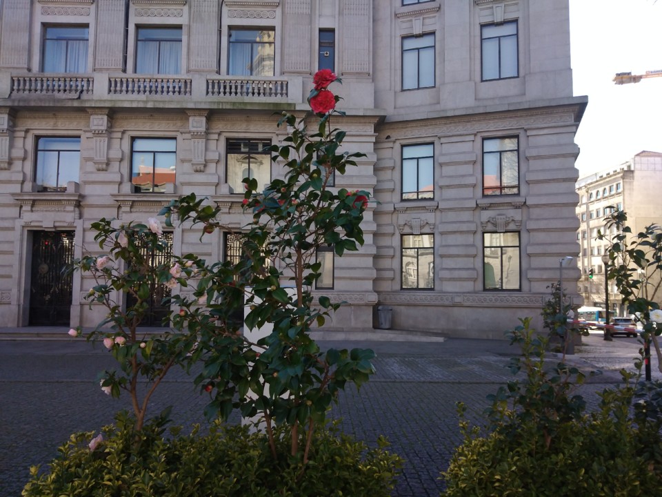 5.TraseirasCâmara1.jpg