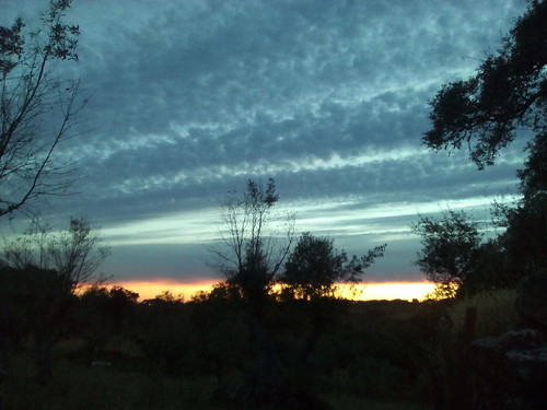 Entardecer. Foto original DAPL 2016.jpg