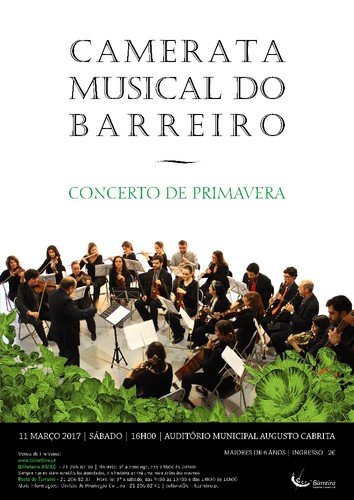 camerata.jpg