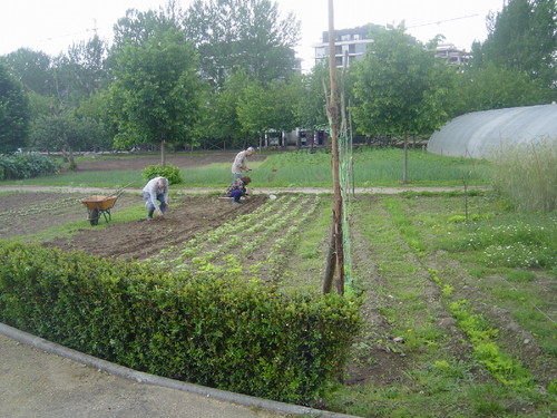 DSC04601.JPG