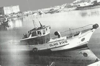 olho vivo - gasoleiro