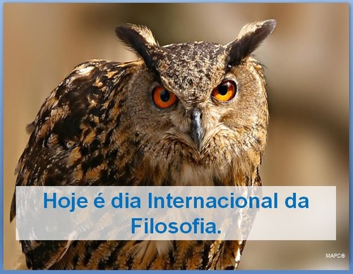 Dia Internacional da Filosofia.jpg Dia Internacional da Filosofia.jpg