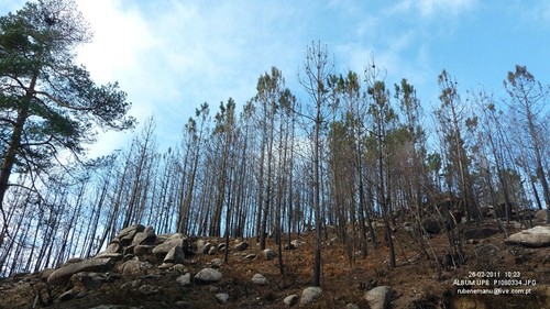 P1080334
