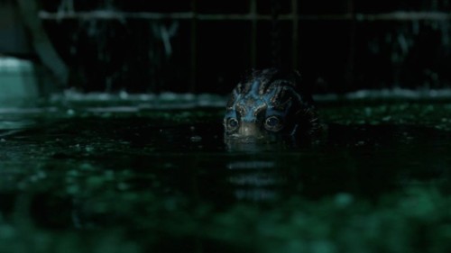 the shape of water (1).jpg