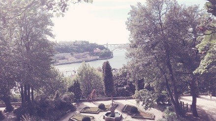 IMG_20170911_202038.jpg IMG_20170911_202038.jpg