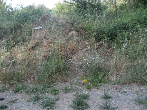Monte de entulho em terreno privado
