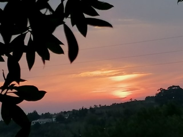 119435388_404381780547579_6759262003962614514_n.jp