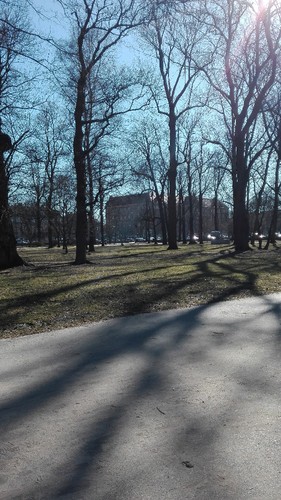 IMG_20170227_112639.jpg