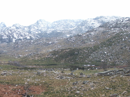 DSCF2131