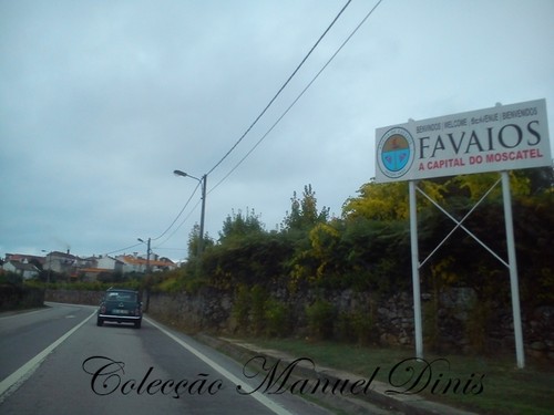 2ª Rota do Moscatel 2016 Favaios  (251).jpg