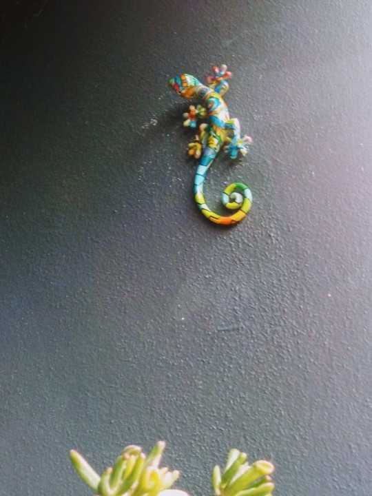 NãoMeCansoDisto_Lagarto.jpg