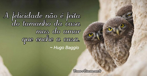 felicidade11.jpg felicidade11.jpg