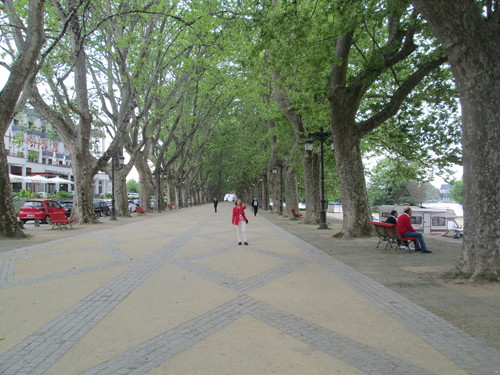 IMG_2014.JPG
