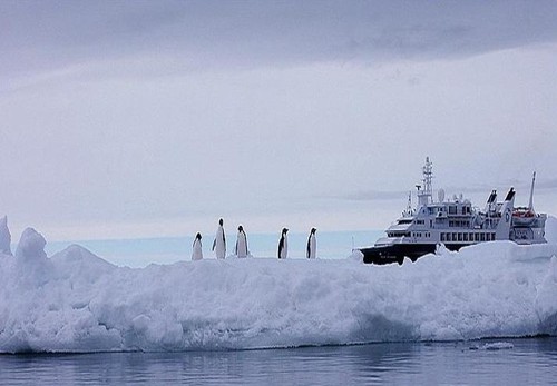 Antarctica_25-1.jpg Antarctica_25-1.jpg
