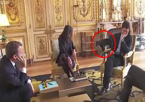 HD Cão de Macron urina durante reunião de minist HD Cão de Macron urina durante reunião de minist