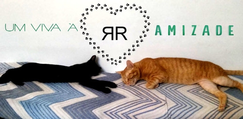 imagem0029.jpg