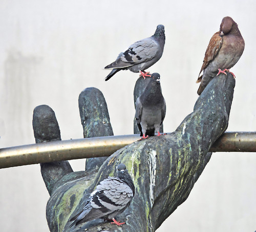 DSCN4673.jpg