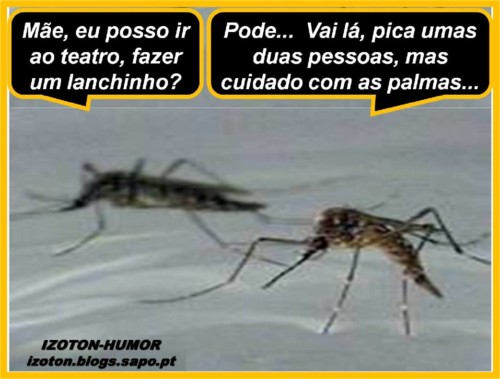 PALMASS.jpg PALMASS.jpg