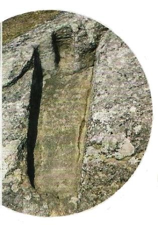Pegadinhas de S. Gonçalo