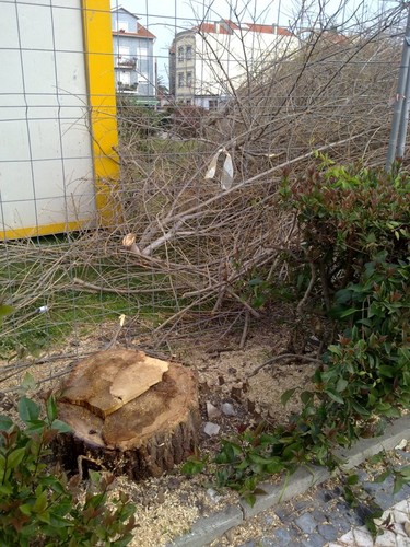 Imagem 031.jpg
