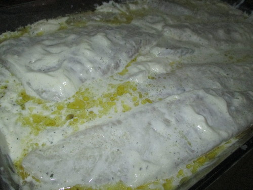 IMG_8018.JPG IMG_8018.JPG