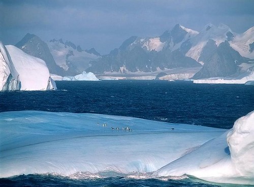 Antarctica_09-4.jpg Antarctica_09-4.jpg