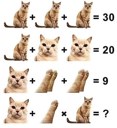 fullsizeoutput_7b3.jpeg
