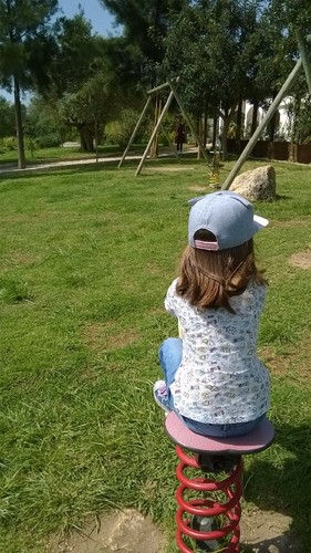 WP_20170411_11_36_59_Pro.jpg
