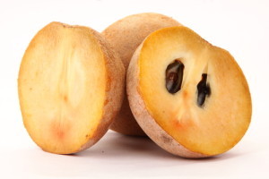 sapoti.jpg