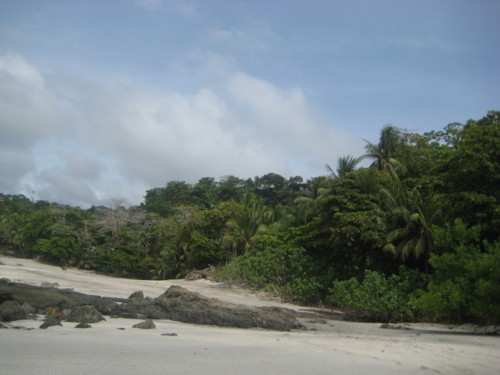 IMG_1295.JPG