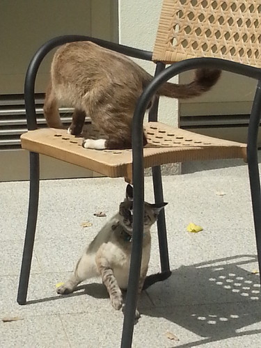 20140819_142622.jpg