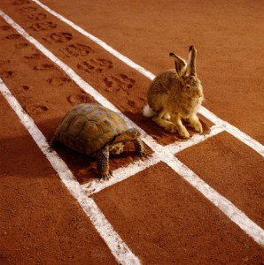 slow-and-steady-wins-the-race-298x300.jpg