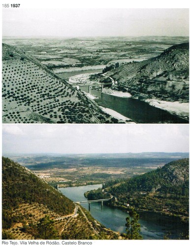 rodao1937.jpg