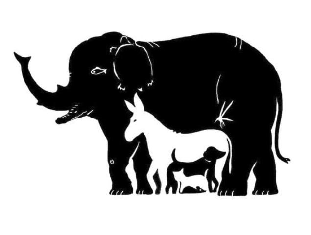 118625512_3321387291278283_5343431523391294342_n.j