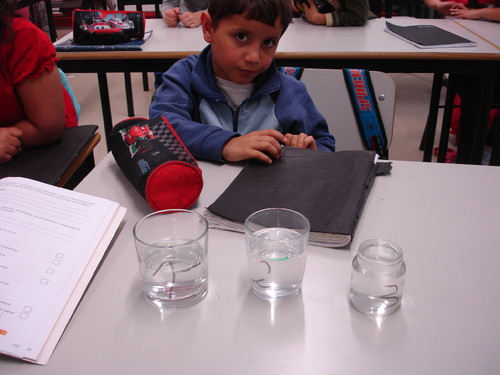 DSC00901.JPG